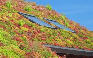 Rowston living roof systems